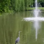 Traumparadies 3*