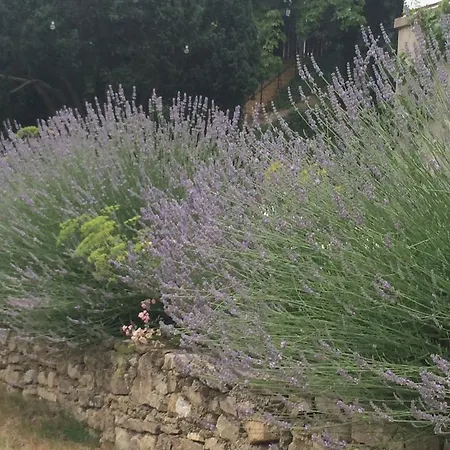 Traumparadies Ξενοδοχείο με διαμερίσματα 3*