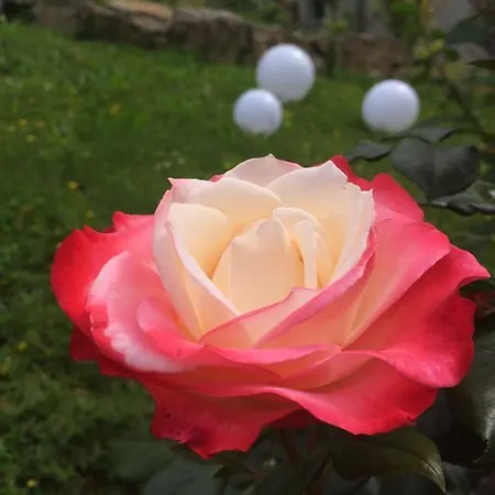 Traumparadies Ξενοδοχείο με διαμερίσματα