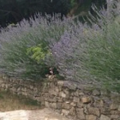 Ξενοδοχείο με διαμερίσματα Traumparadies 3*