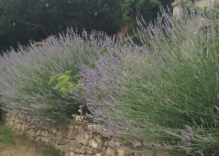 Traumparadies Apart Otel 3*