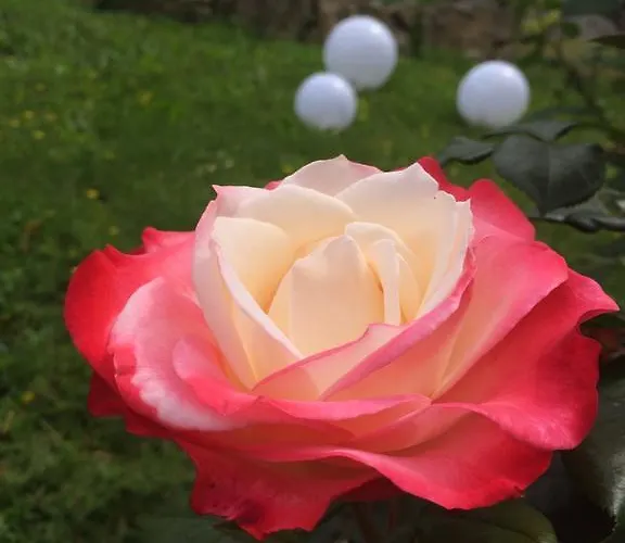 Traumparadies Apart Otel