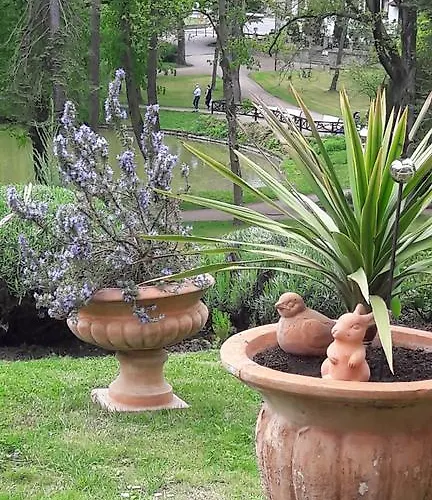 Traumparadies Apart Otel