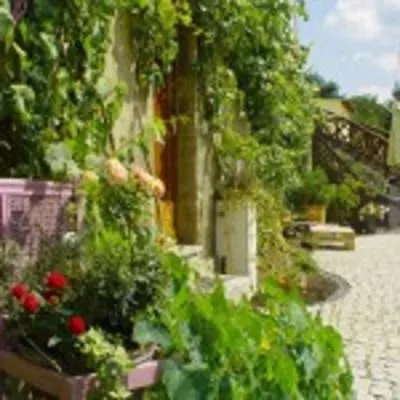 Traumparadies 3* Bad Sulza